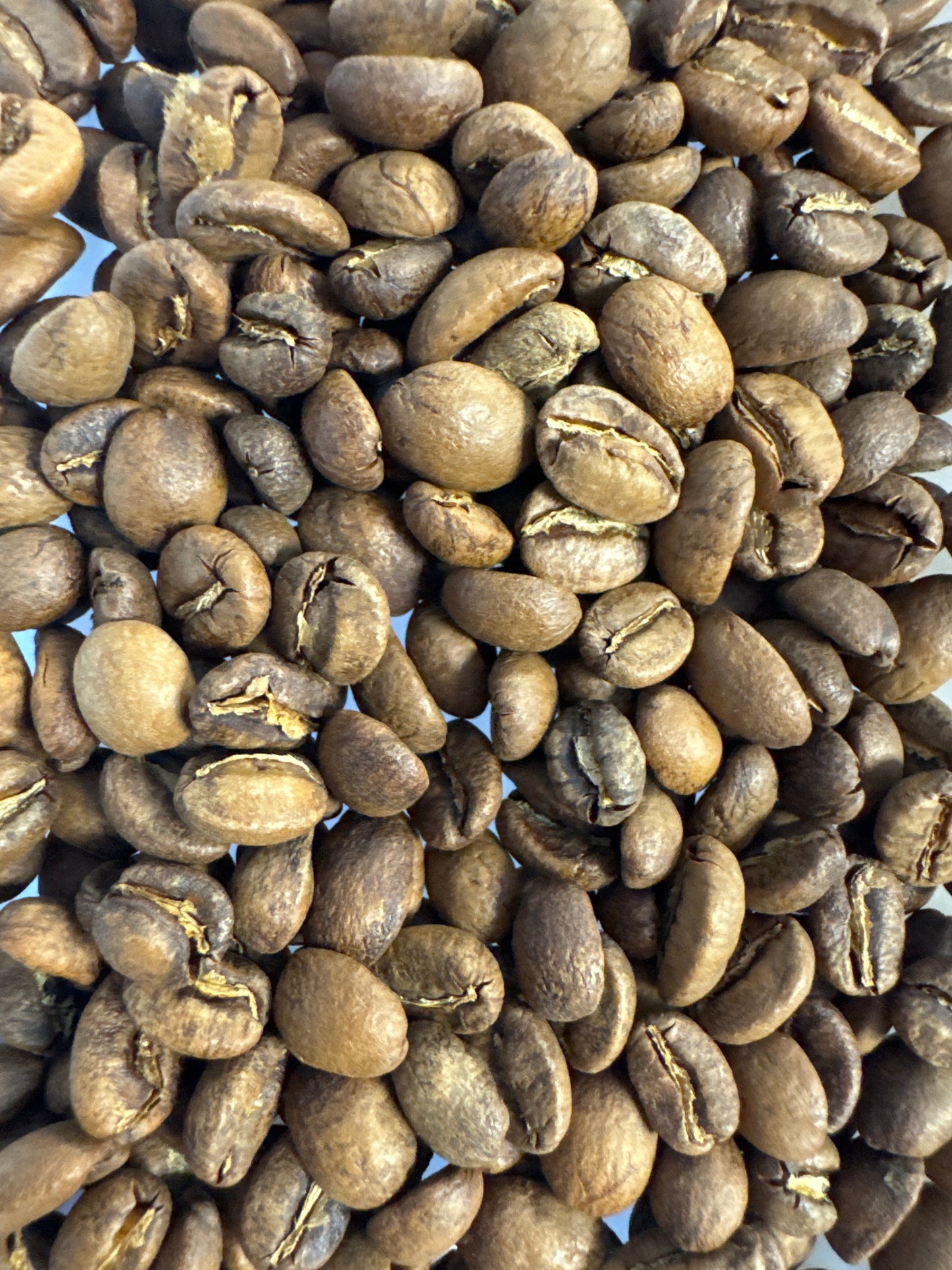 Colombia Narino Organic + Fair Trade Washed