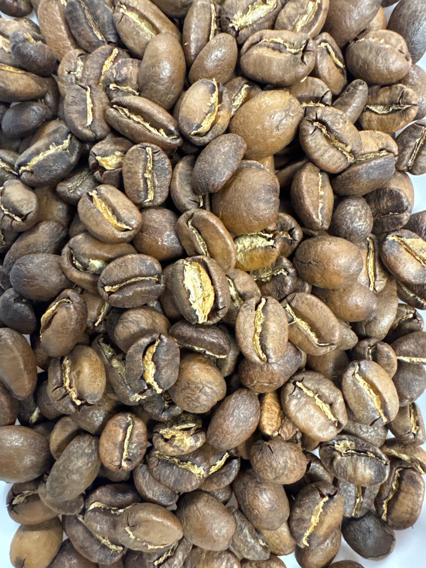 Guatemala Santa Rosa
