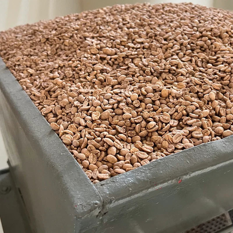 CONDOR COLOMBIA EA DECAF SINGLE ORIGIN DARK