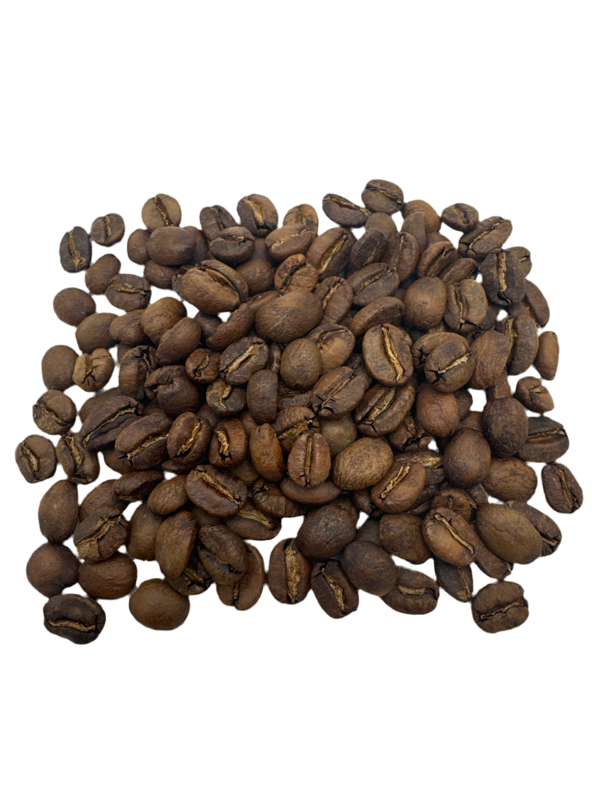 CINNAMON ROLL | DIEGO BERMUDEZ M-03 CASTILLO