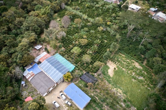 Colombia Narino Organic + Fair Trade Washed